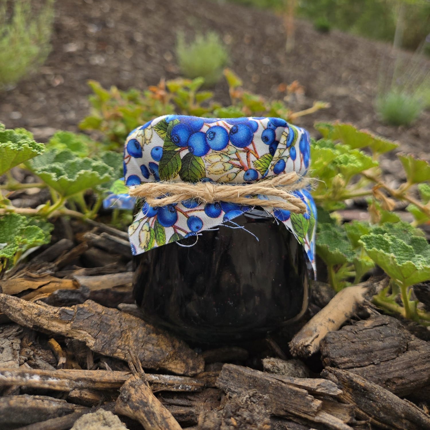 Blueberry Jam